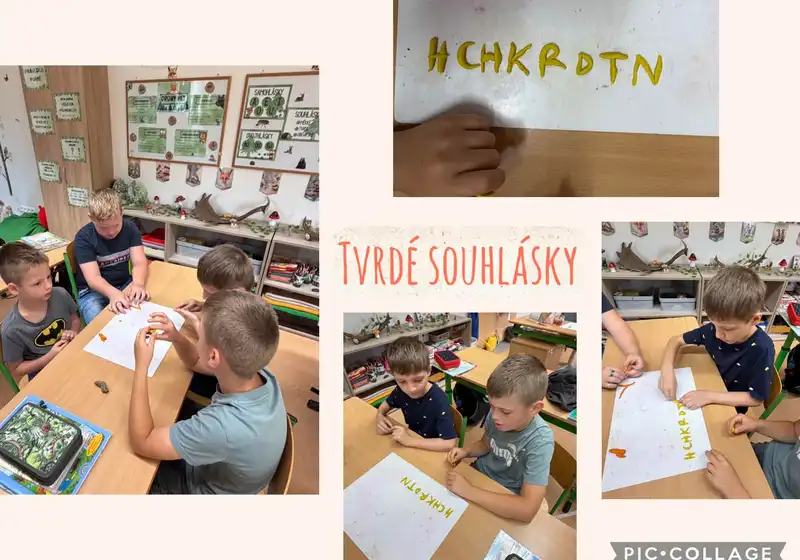 🦊 Lišáci v akci!