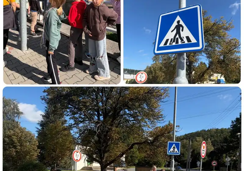 Lišáci objevují svět dopravy 🚦🦊