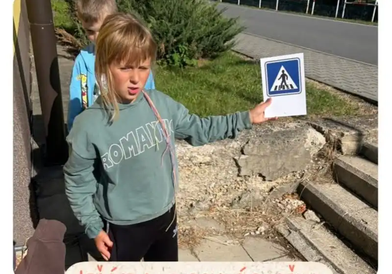 Lišáci objevují svět dopravy 🚦🦊