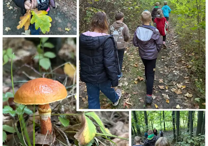 🦊Lišáci a fascinující svět hub 🍄🍄‍🟫