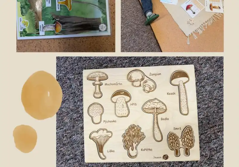 🦊Lišáci a fascinující svět hub 🍄🍄‍🟫