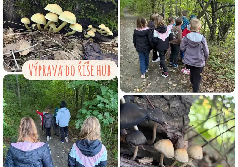 🦊Lišáci a fascinující svět hub 🍄🍄‍🟫