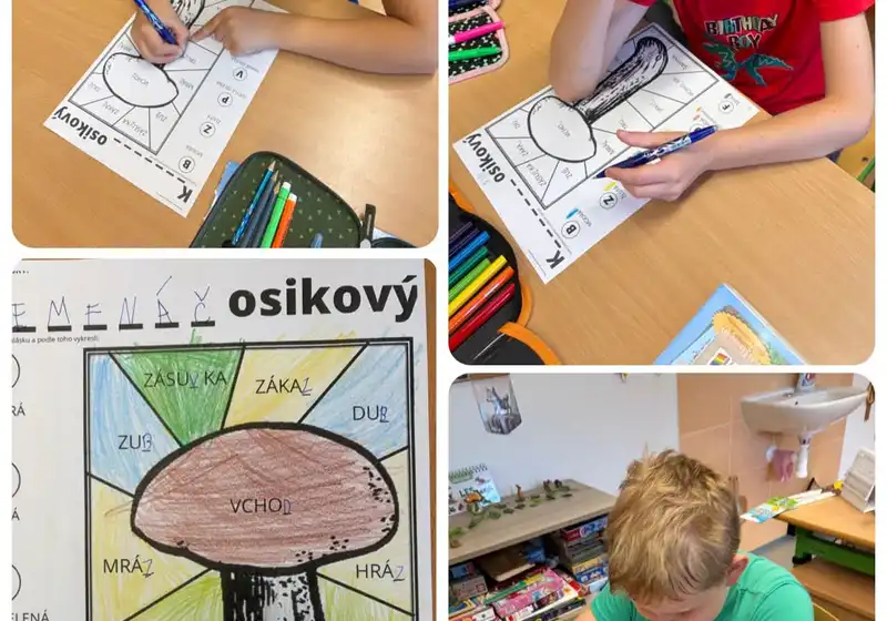 🦊Lišáci a fascinující svět hub 🍄🍄‍🟫