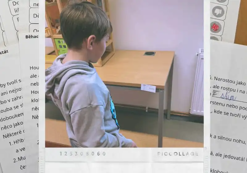 🦊Lišáci a fascinující svět hub 🍄🍄‍🟫