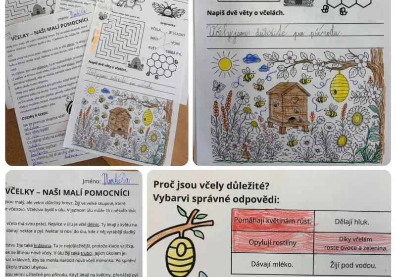 Den včel v naší třídě 🐝